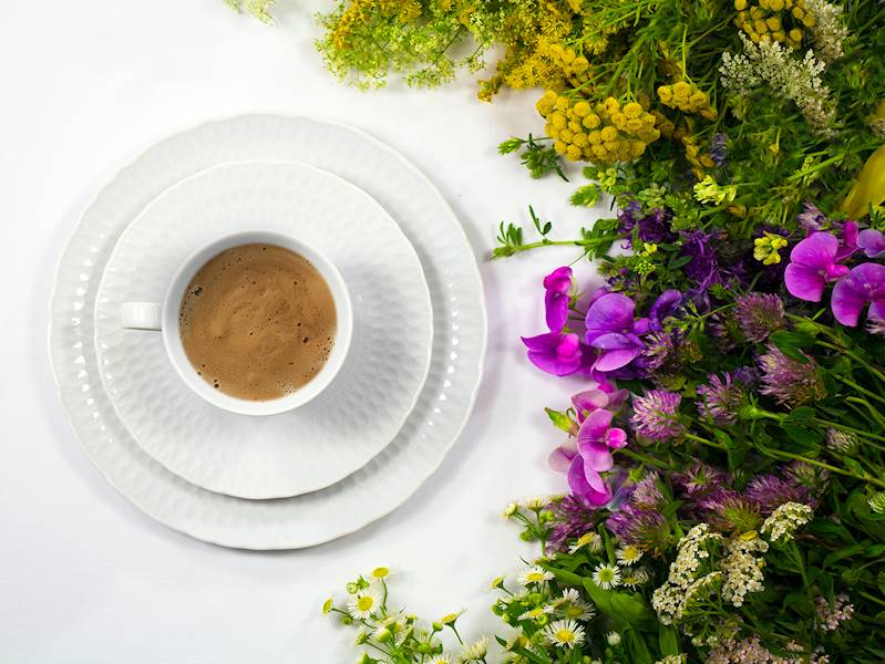 talerz płytki 28 dek: 0001 Biała SOFIA