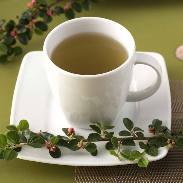 serwis ob-kaw. 2/10 dek: 0001 Biała VICTORIA 025