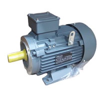 OMT4-112M2 – 4,0kW 2P 400/690V 50Hz B35 IP55
