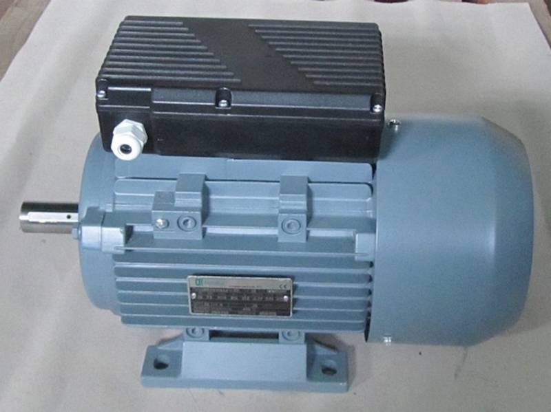 Silnik jednofazowy 0,75kW 2800 B3 SEG80-2A