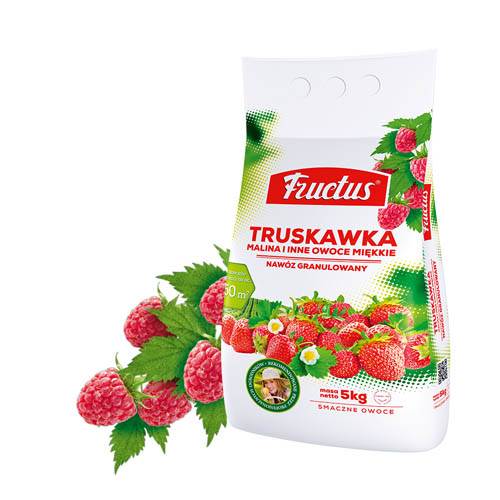 Fructus truskawka