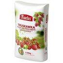 Fructus truskawka 25kg