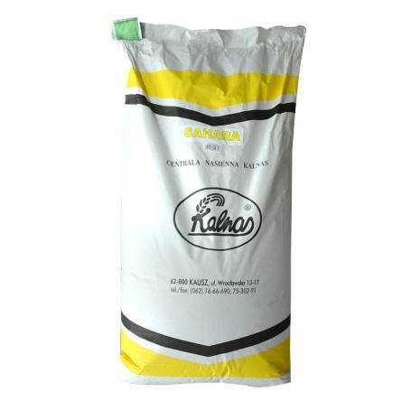 Trawa SAHARA 10kg