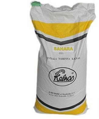 Trawa SAHARA 25kg