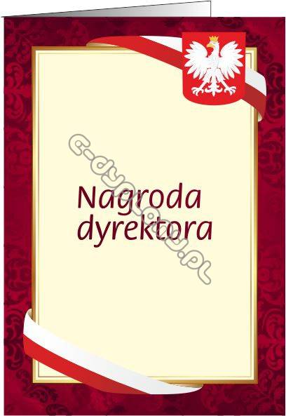NAGRODA DYREKTORA S113 UNIWERSALNA