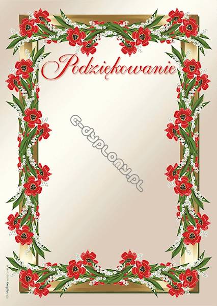 DYPLOM PODZIĘKOWANIE A950