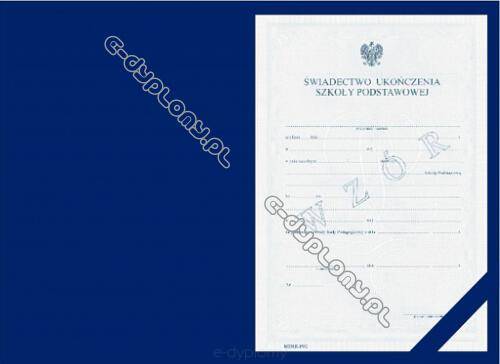 TECZKA UNIWERSALNA SDE04