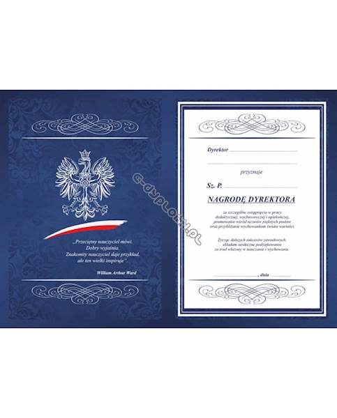 NAGRODA DYREKTORA DLA NAUCZYCIELA C69