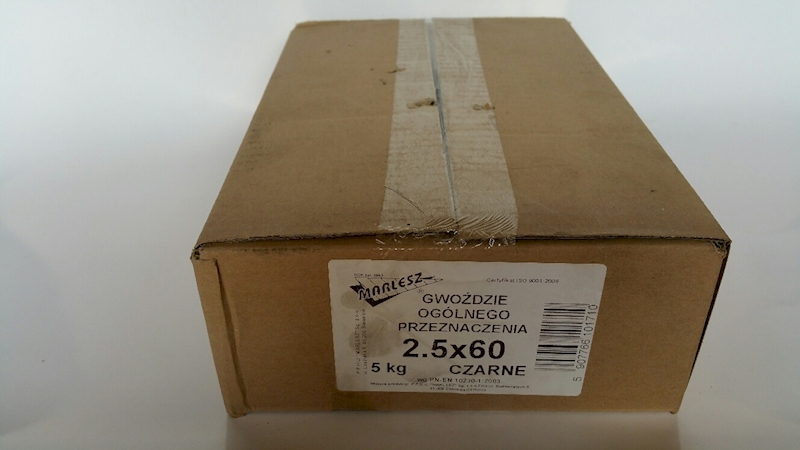GWOŹDZIE 2,5X60