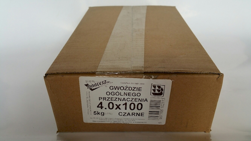 GWOŹDZIE 40X100