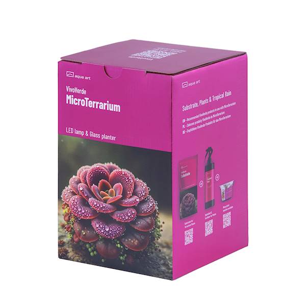 VivoVerde MicroTerrarium