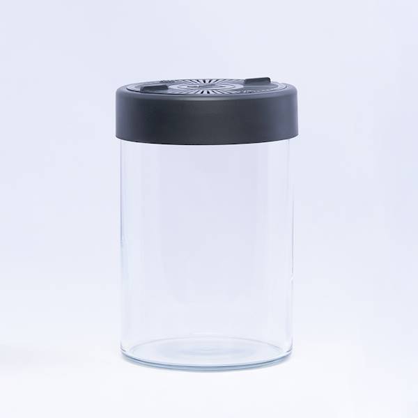 VivoVerde MicroTerrarium