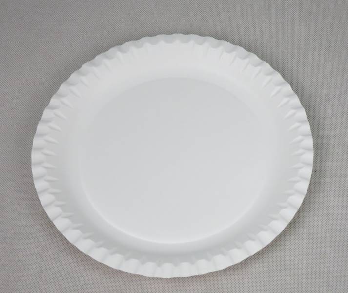Talerze papierowe jednorazowe eko 23 cm (cena brutto za 100 sztuk)