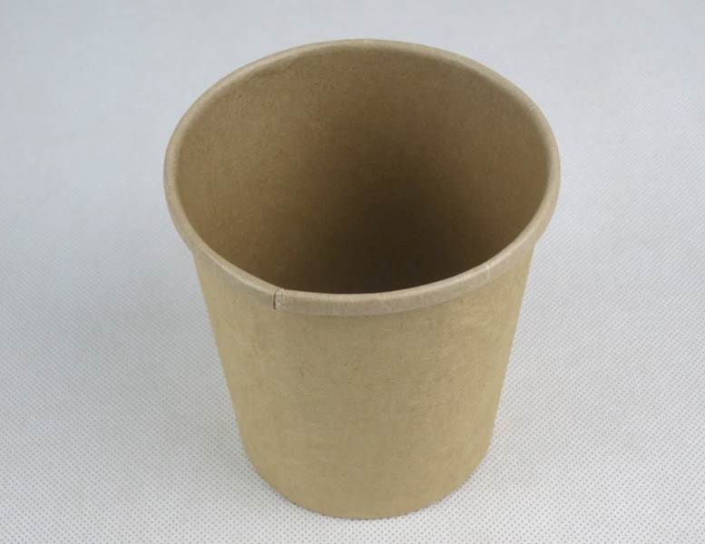 Wieczka EKO zupa do pojemników 450 ml (25)/20