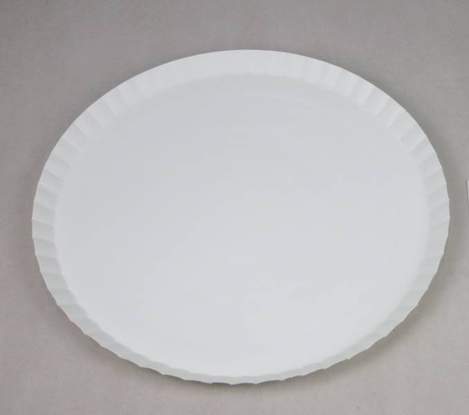 Talerze papierowe jednorazowe eko  duże 42 cm 100 sztuk