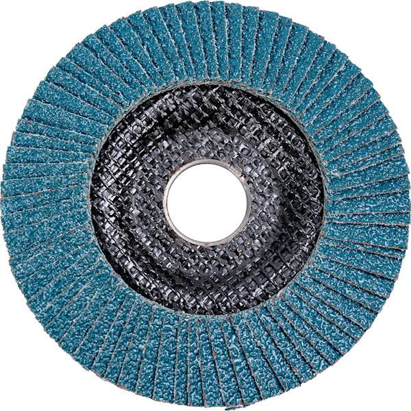 Ściernica listkowa wypukła 125/100 CORONA