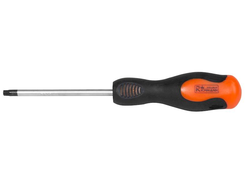 Wkrętak TORX T20x100mm