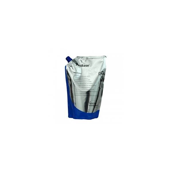 PROBASE  COLD POLYMER  2x500 g