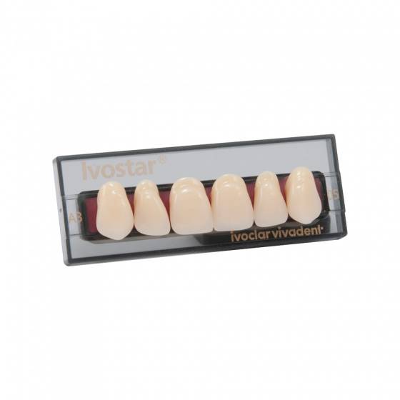ZĘBY  IVOSTAR set of 6 