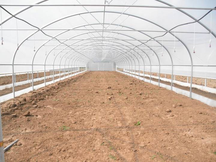 Folia Tunelowa  4-sezonowa  6m  Polietylenowa