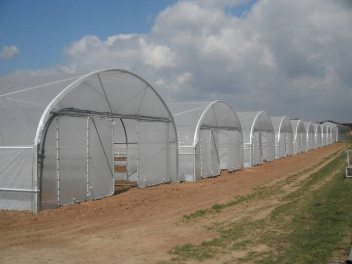 Folia Tunelowa  4-sezonowa 10m  Polietylenowa