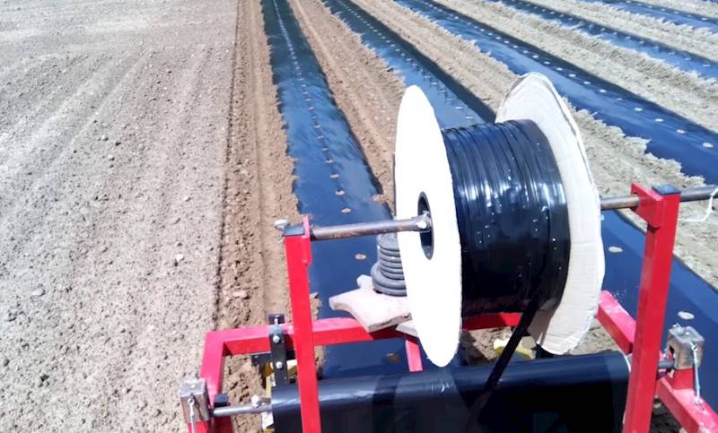 Folia Mulczująca 2 sez.1 rząd  1050x0.025x 1000mb 