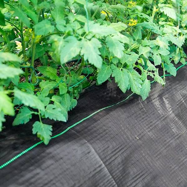 AGROTKANINA 90g 1,1m x  5m