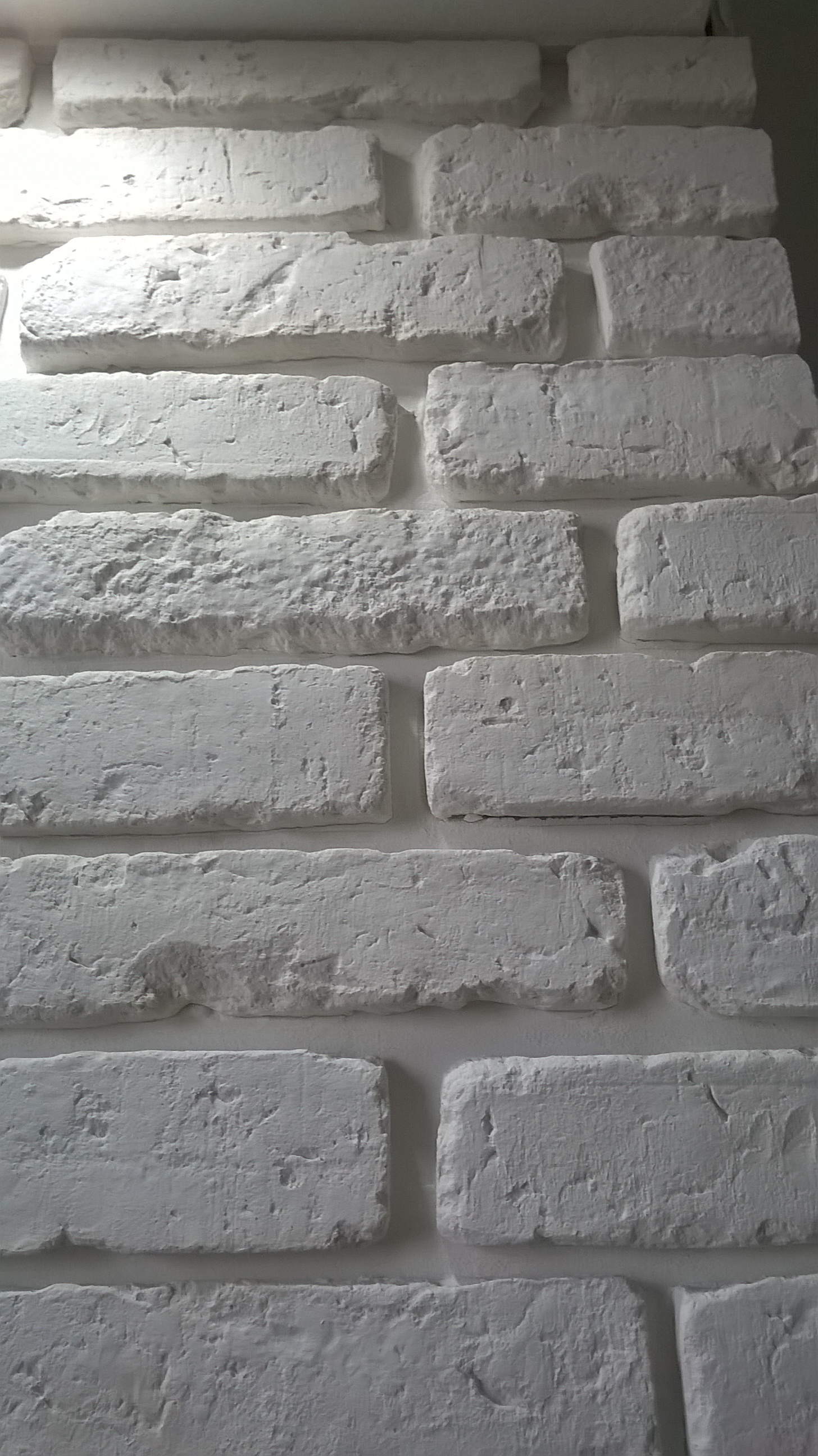 WP_20160227_11_51_07_Pro.jpg