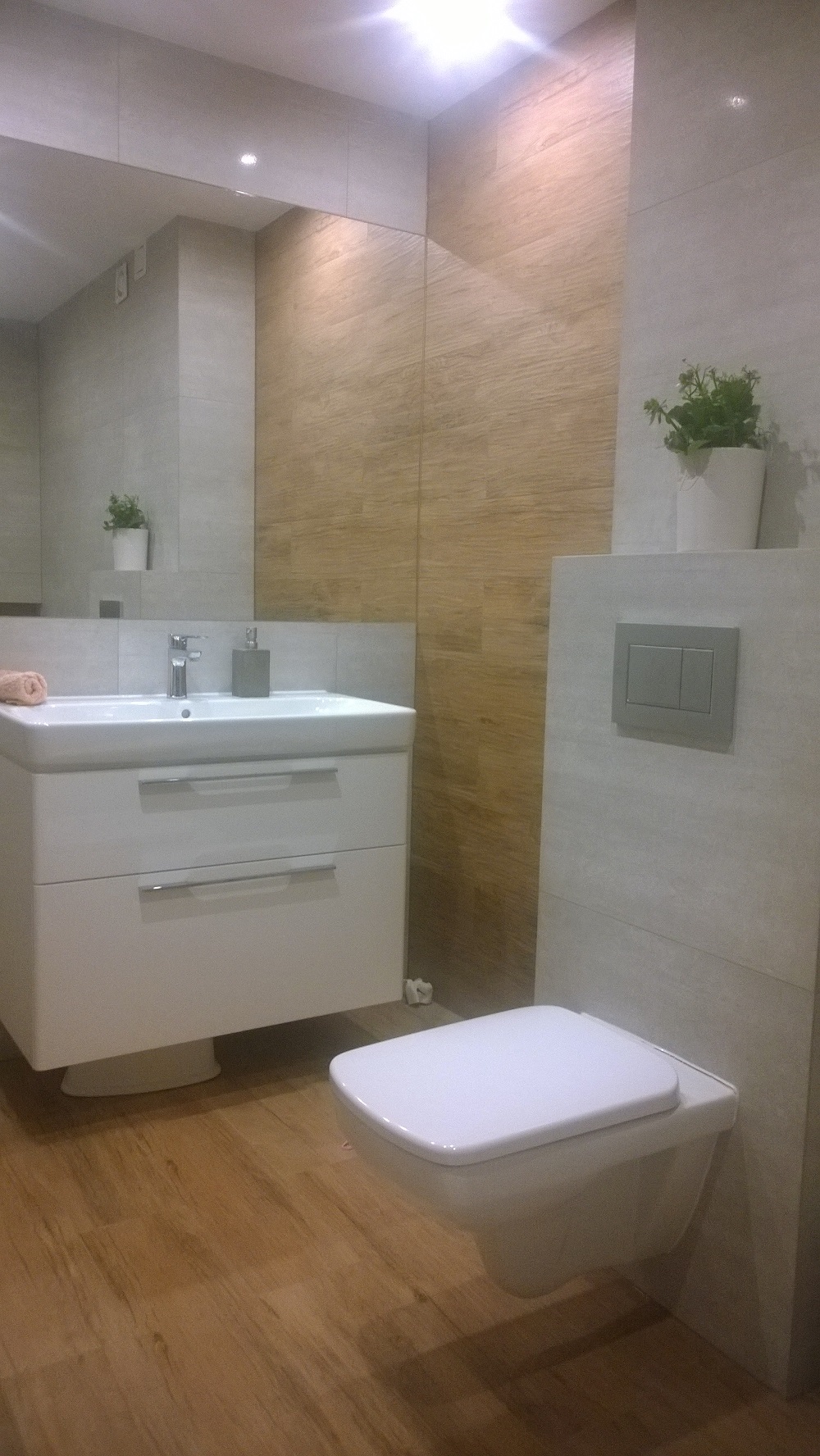 WP_20161114_003.jpg