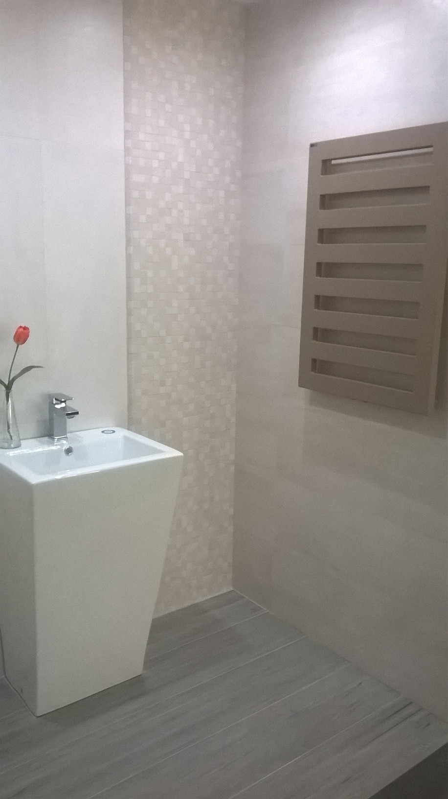 WP_20190319_11_09_41_Pro.jpg