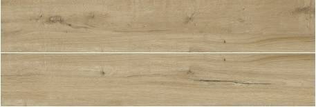 Płytka gresowa 896 20x120cm