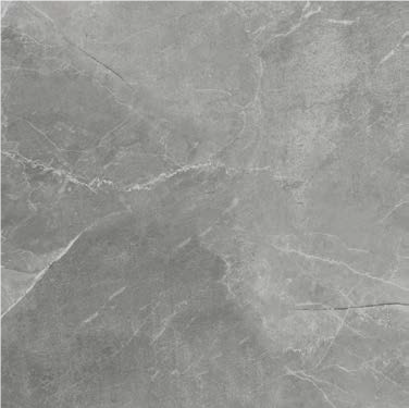 Płytka gresowa 558 80x80cm