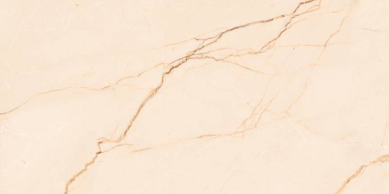 Płytka gresowa 448 60x120cm