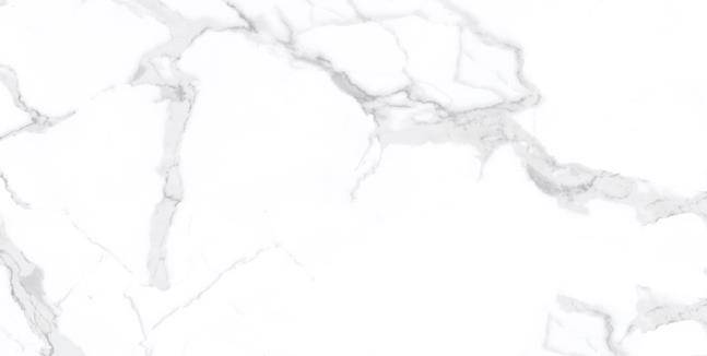 Płytka gresowa 955 60x120cm