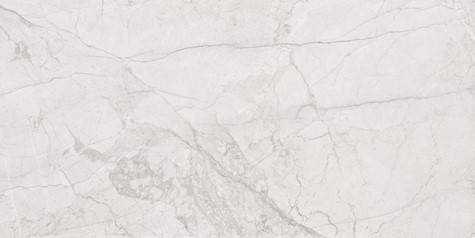 Płytka gresowa 1041 60x60cm