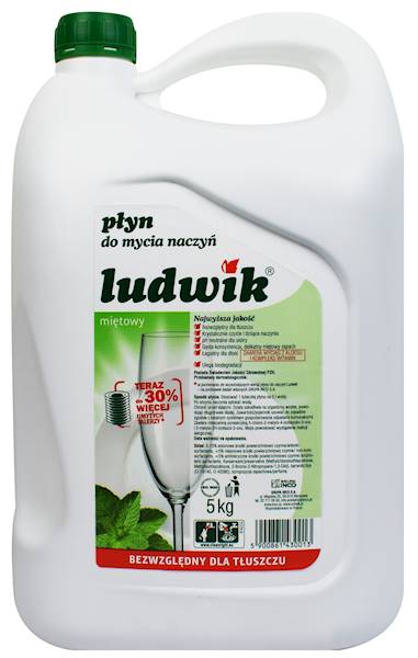 PŁYN DO NACZYŃ LUDWIK 5L SC