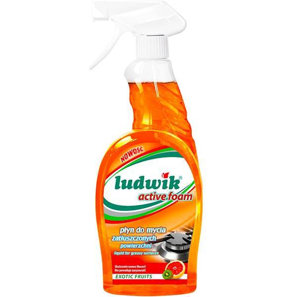 LUDWIK DO ZATŁ. POW. KUCHNIA 750ML PŁYN SPRAY SC