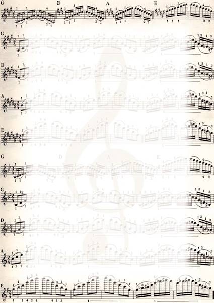 DYPLOM  NUTY 170G 25 SZT