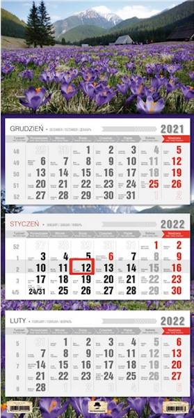 KALENDARZ TRÓJDZIELNY 3/1