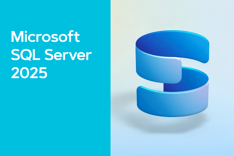Microsoft SQL Server 2025 Standard Edition Runtime