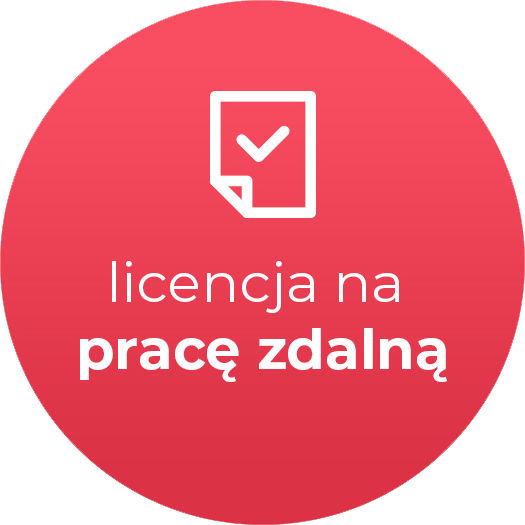 Rewizor GT - licencja oddziałowa na pracę zdalną (licencja elektroniczna)