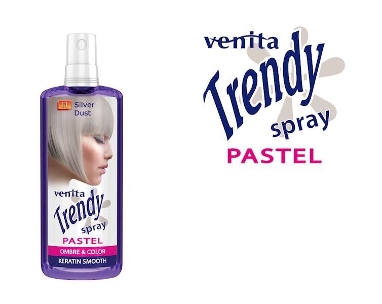 TRENDY SPRAY NR 11 SILVER DUST