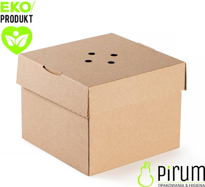 Pudełko 13x13x10 Brąz Burger 89257 Papstar 20szt 
