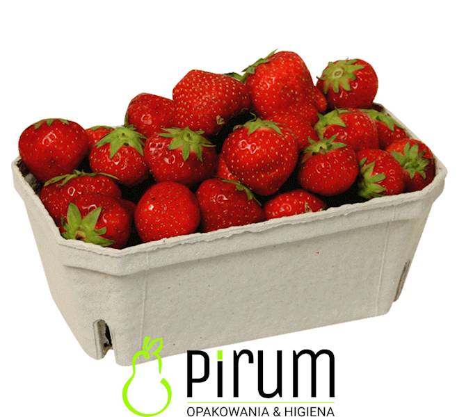 FrutPack Pojemnik 250gr PAP Owoce 540szt