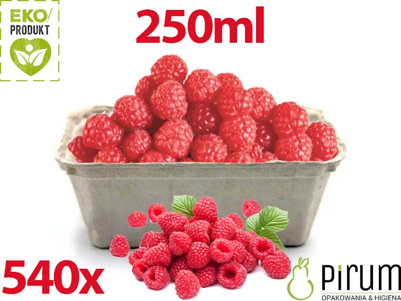FrutPack Pojemnik 250gr PAP Owoce 540szt