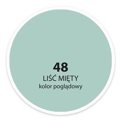 Emulsja Dekoral Moc Koloru liść mięty 5L