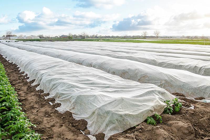 Agrowłóknina zimowa 1,6x5m biała Agrimpex 30g/m2