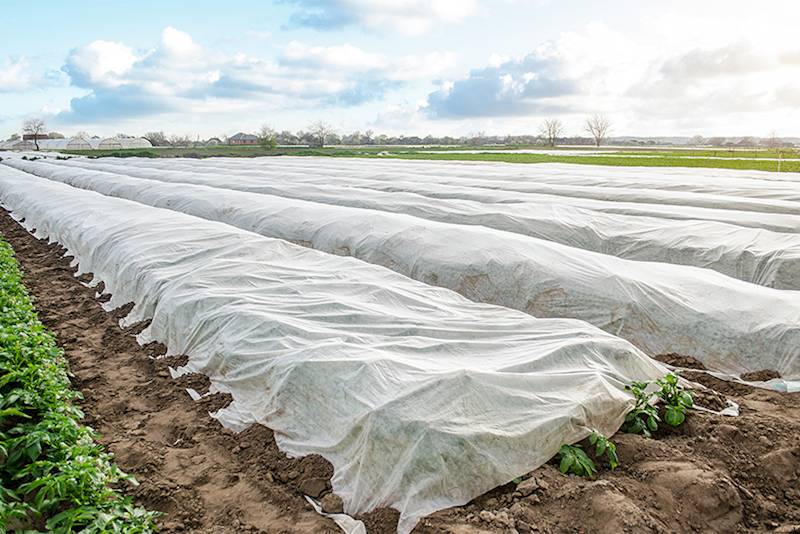 Agrowłóknina zimowa 3,2x5m biała Agrimpex 30g/m2