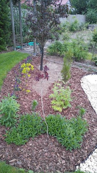 Kora dekoracyjna sosnowa średnia 2-5cm 80L