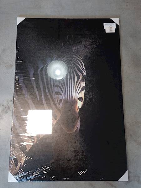 Obraz Zebra / Pictur 60x90cm 609917